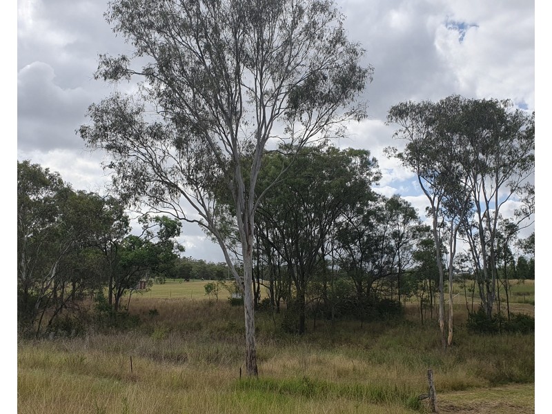 156 Pauls Parade, Ellesmere QLD 4610