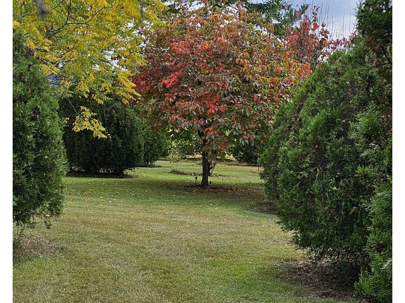 21 Smith Street, Yarraman QLD 4614