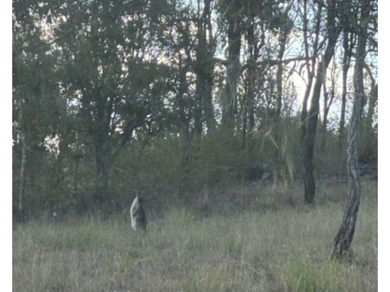 Lot 84 Stretton Drive, Blackbutt QLD 4306