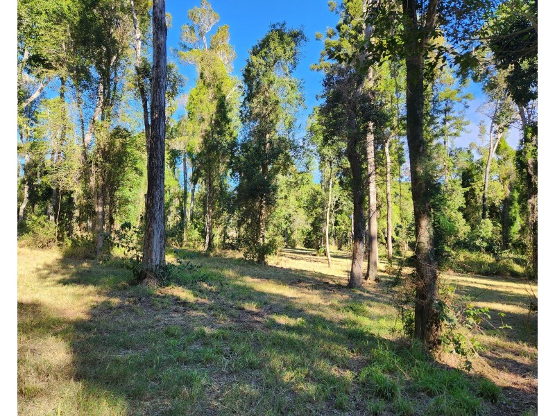 97 Bunya Way, Blackbutt QLD 4306