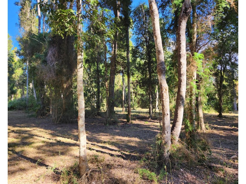 97 Bunya Way, Blackbutt QLD 4306