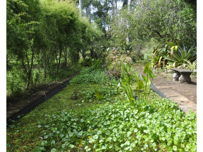 57 Ogilvie Road, Blackbutt South QLD 4306