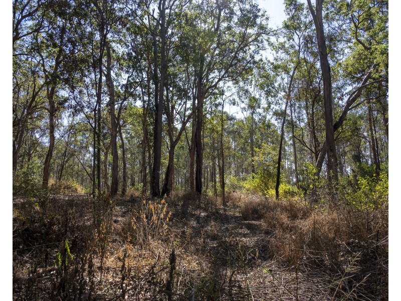 151 Cameron Road, Blackbutt North QLD 4306