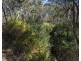 151 Cameron Road, Blackbutt North QLD 4306