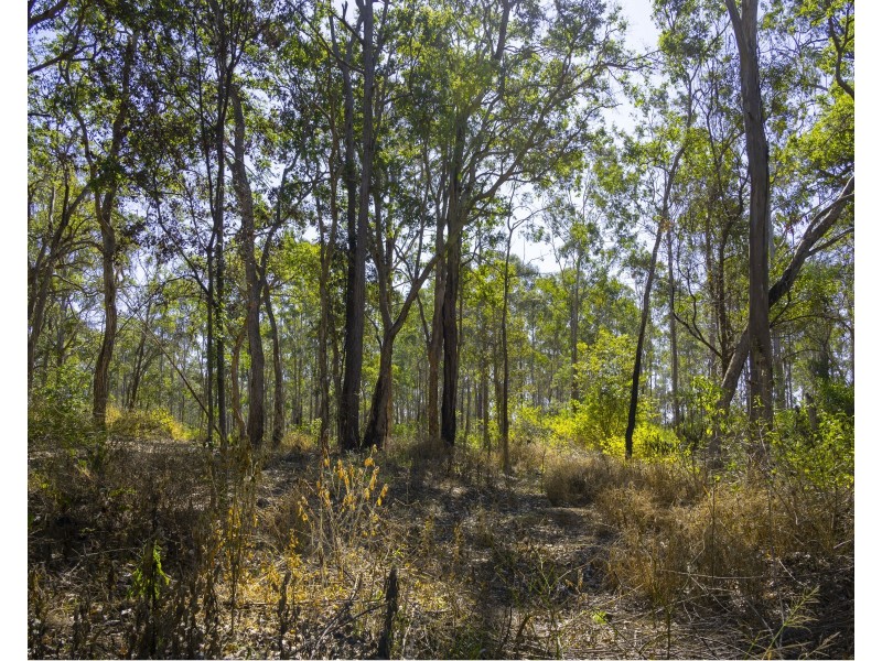 151 Cameron Road, Blackbutt North QLD 4306