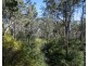 151 Cameron Road, Blackbutt North QLD 4306