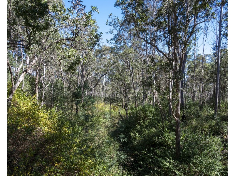 151 Cameron Road, Blackbutt North QLD 4306