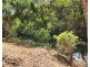 Lot 464 Nukku North Road, Taromeo QLD 4306