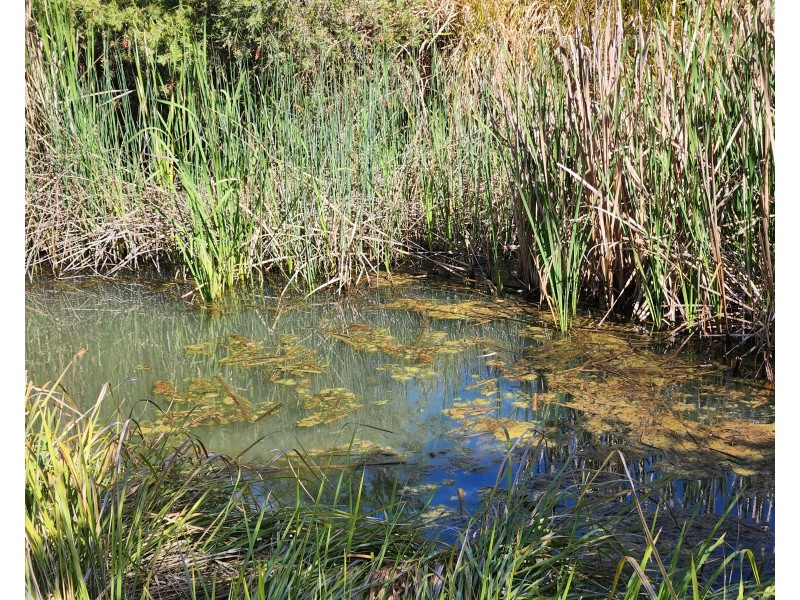 Lot 464 Nukku North Road, Taromeo QLD 4306