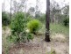 80 Pamela Drive, Blackbutt QLD 4306