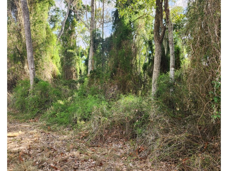 Lot 2, 89 Bunya Way, Blackbutt QLD 4306
