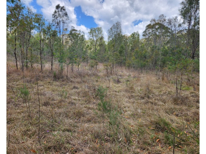 1130 Cooyar Mt Binga Road, Cooyar QLD 4402