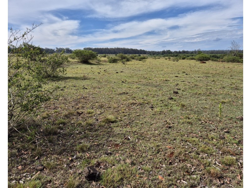 49 Valley Road, Cherry Creek QLD 4306