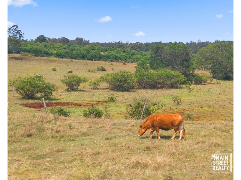 49 Valley Road, Cherry Creek QLD 4306