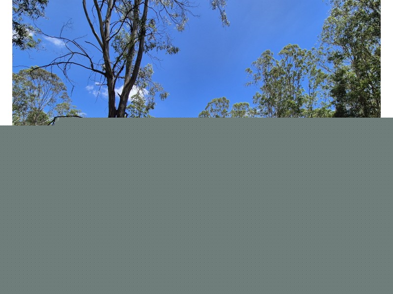 37 Taromeo Court, Blackbutt North QLD 4306