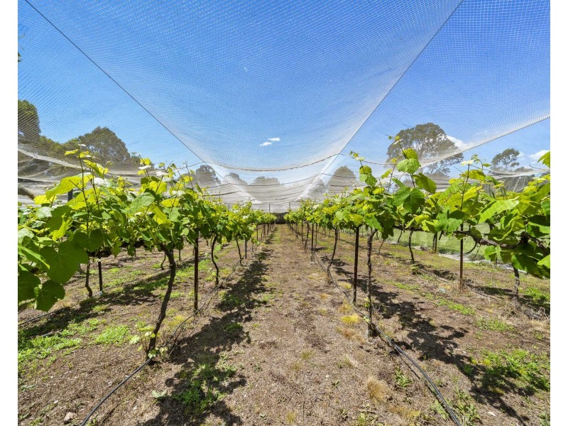 145 Crumpton Drive, Blackbutt North QLD 4306