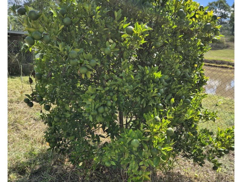 1245 Old Esk Road, Taromeo QLD 4306