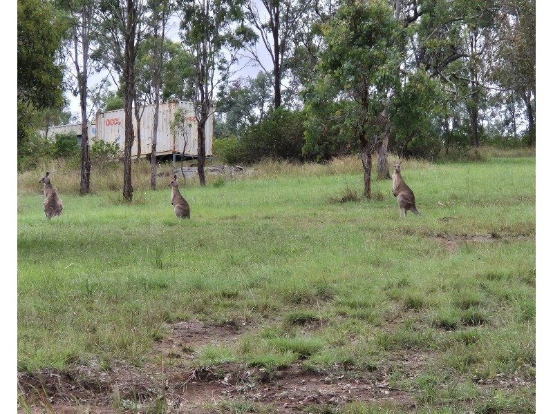 Lot 84 Stretton Drive, Teelah QLD 4306