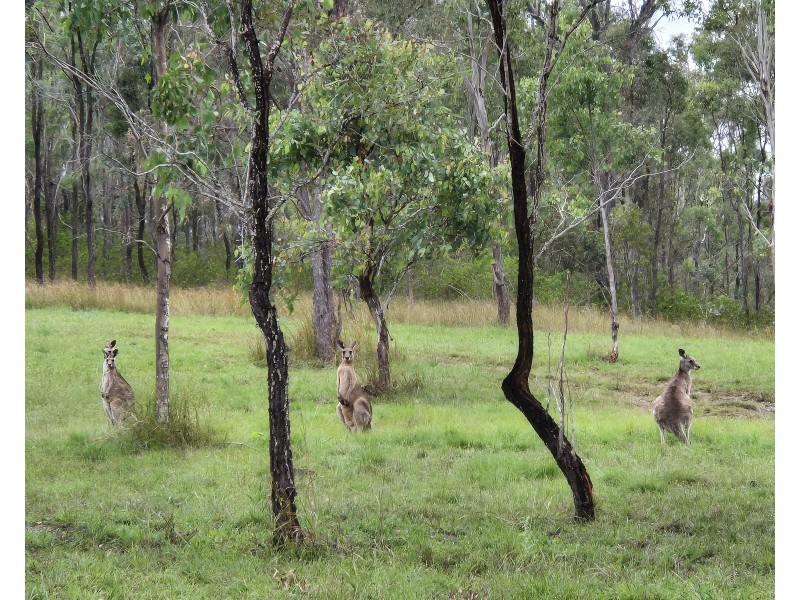 Lot 84 Stretton Drive, Teelah QLD 4306