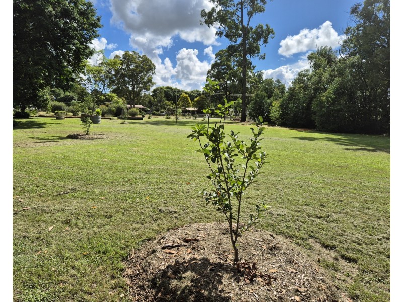 11 Hart Street, Blackbutt QLD 4306