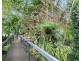 Currumbin Waters QLD 4223