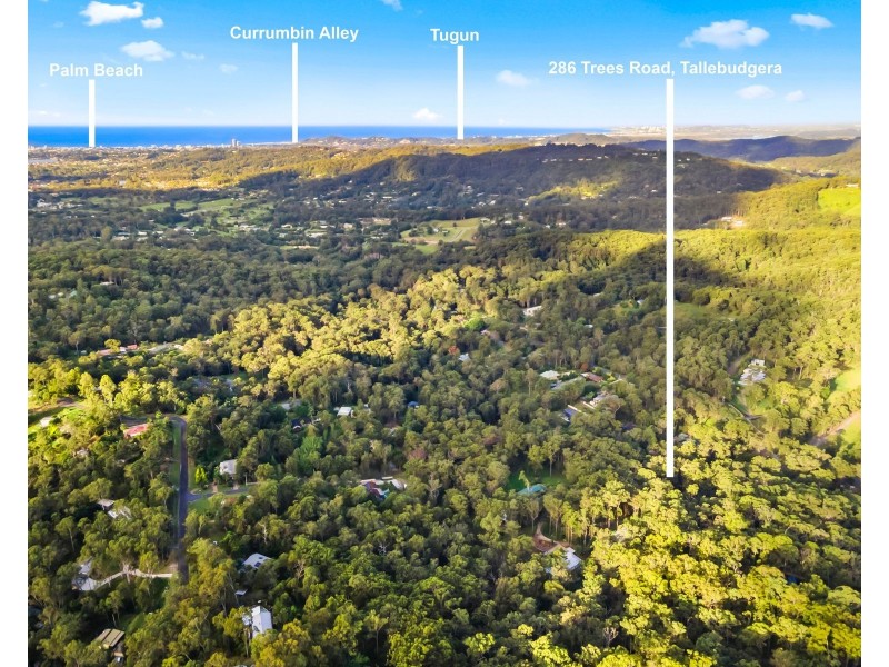 286 Trees Road, Tallebudgera QLD 4228
