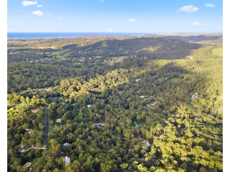 286 Trees Road, Tallebudgera QLD 4228