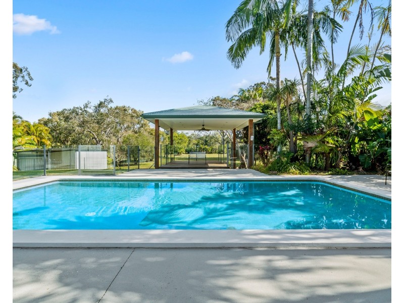 19 Daffodil Street, Tallebudgera QLD 4228