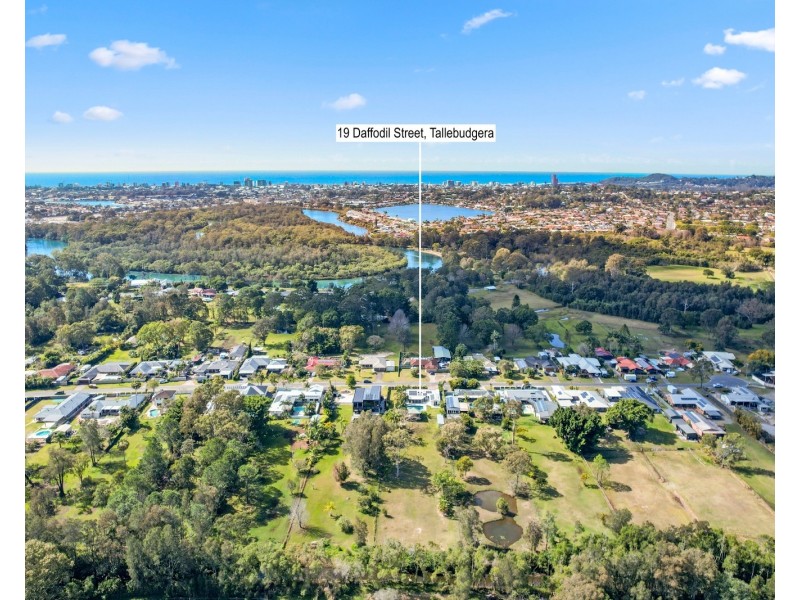19 Daffodil Street, Tallebudgera QLD 4228