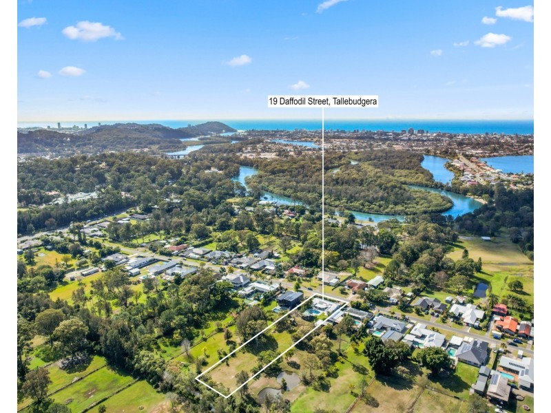 19 Daffodil Street, Tallebudgera QLD 4228