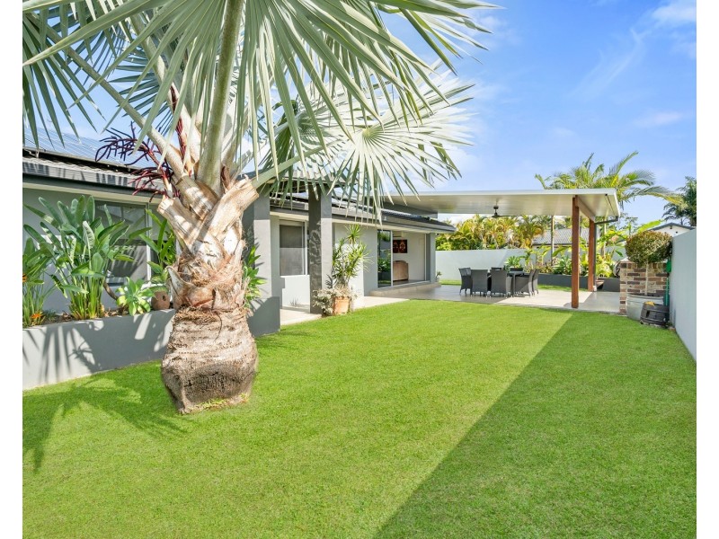 42 Dogwood Drive, Palm Beach QLD 4221