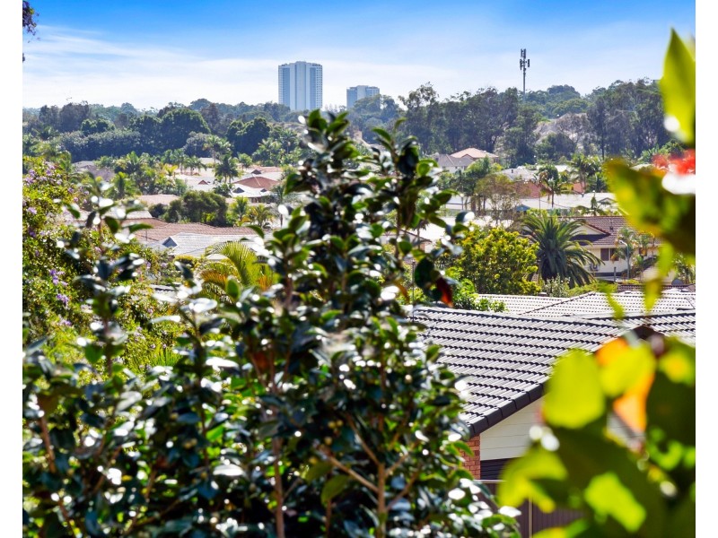 9 Wilkinson Crescent, Currumbin Waters QLD 4223