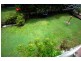 116 Pearson Street, Kangaroo Point QLD 4169