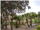 12/94 Meredith Street, Bankstown NSW 2200