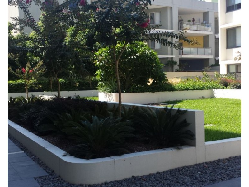 1303/8 Marine Parade, Wentworth Point NSW 2127