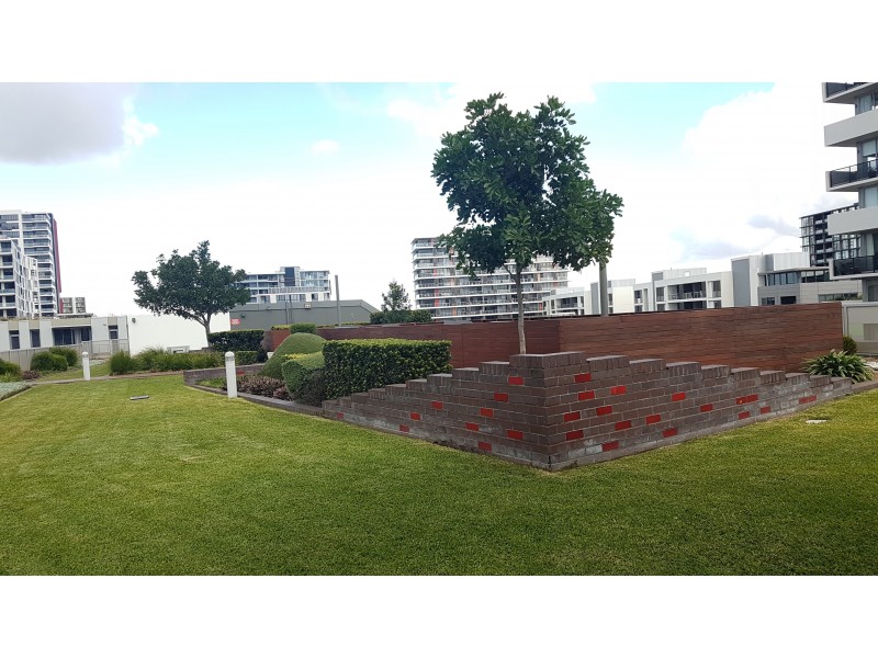 90/6 Defries Ave, Zetland NSW 2017