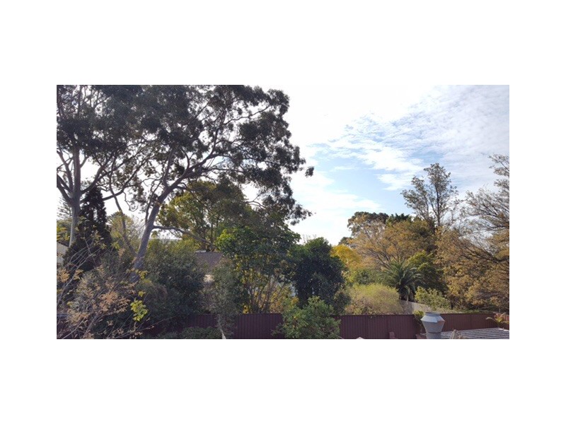 65 Oxford Road, Strathfield NSW 2135