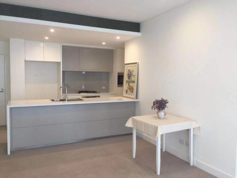 405/10 SCOTSMAN STREET, Forest Lodge NSW 2037