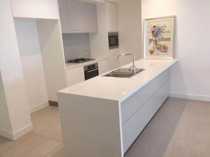 405/10 SCOTSMAN STREET, Forest Lodge NSW 2037