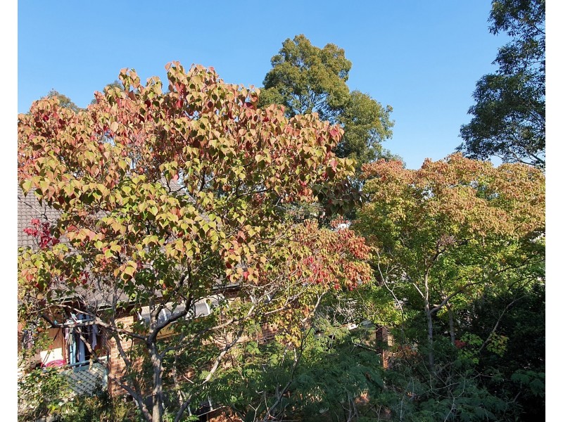 6/80 Pitt Street, Parramatta NSW 2150