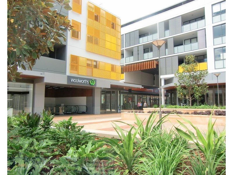 D502/11 Mashman Avenue, Kingsgrove NSW 2208