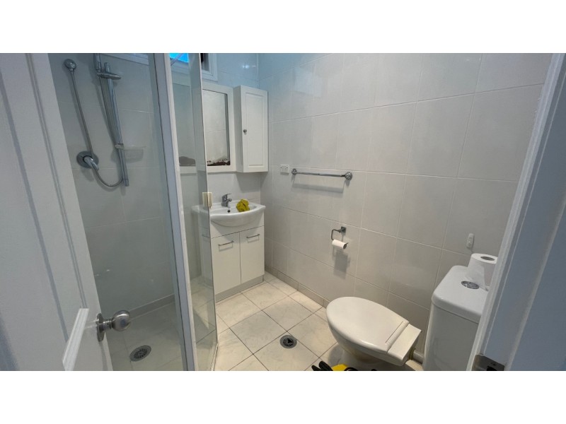 87 Priam Street, Chester Hill NSW 2162