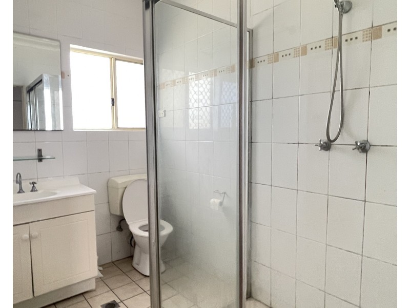 299 Canley Vale Road, Canley Heights NSW 2166