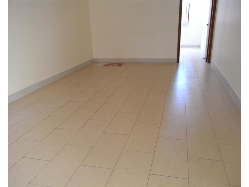 779B Merrylands Road, Greystanes NSW 2145