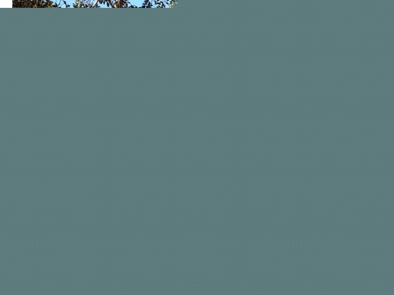 3/12 Glebe Street, Parramatta NSW 2150