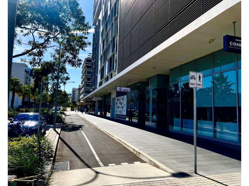 111/16 GADIGAL AVENUE, Waterloo NSW 2017