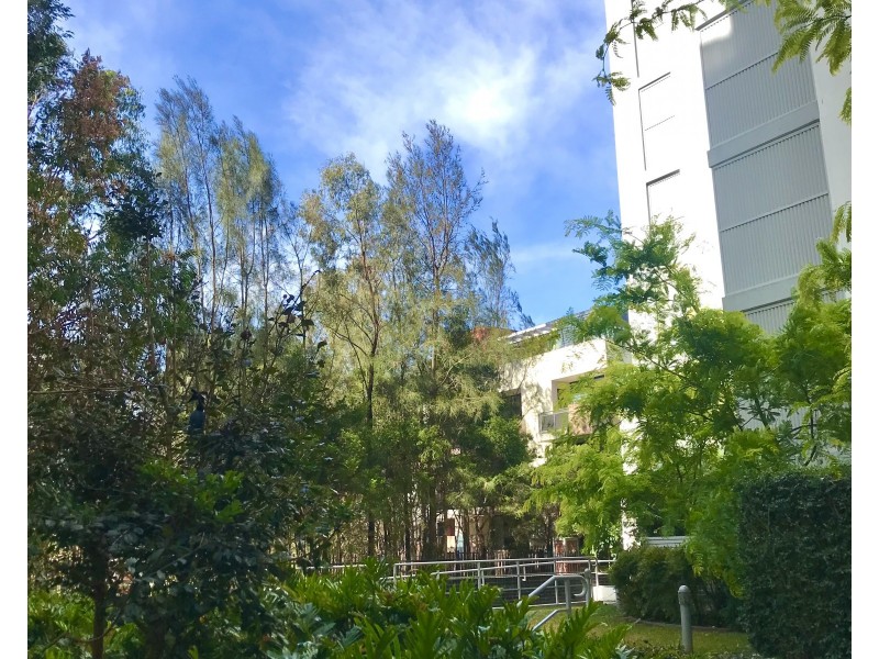 302/27 DRESSLER COURT, Merrylands NSW 2160