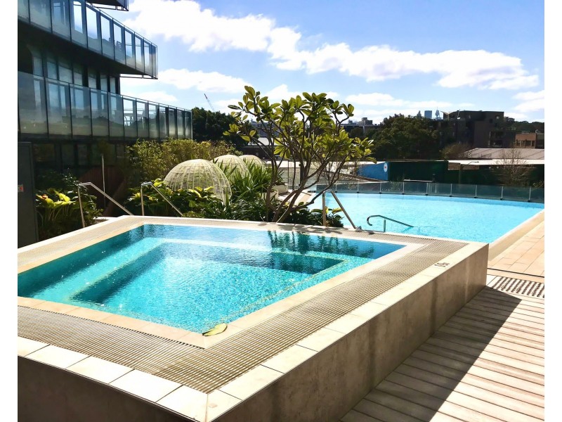 210/303 BOTANY ROAD, Zetland NSW 2017