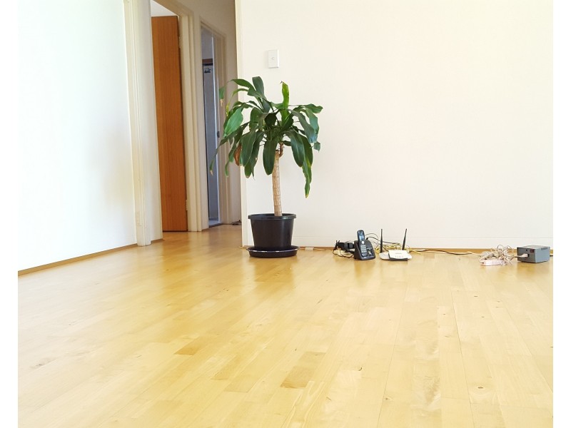 5/3 Coleman Avenue, Carlingford NSW 2118