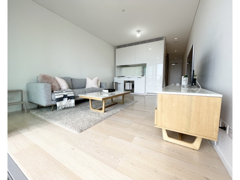 1310/18 PARK LANE, Chippendale NSW 2008